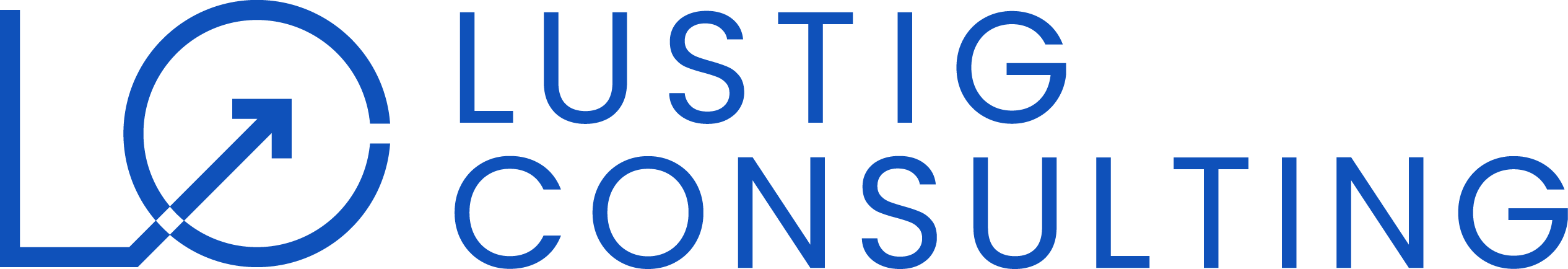 Lustig Consulting