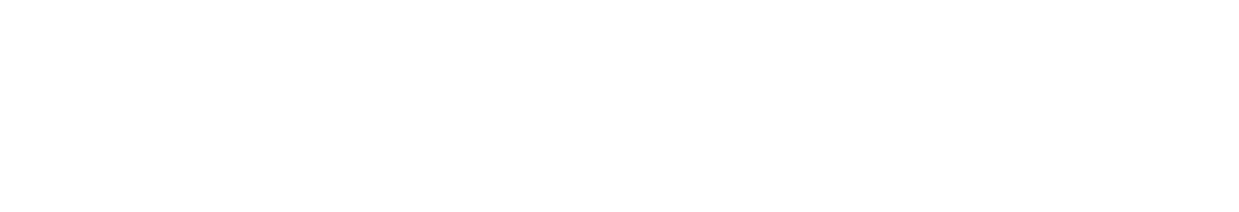Lustig Consulting